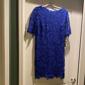 Studio One Cobalt Blue Lace Mini Dress